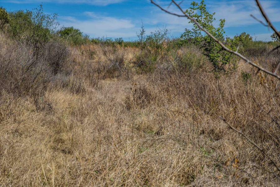 Commercial Property for Sale in Koppies Free State